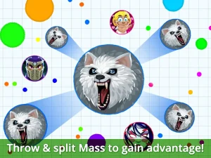 agario-16