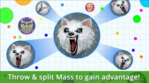 agario-4