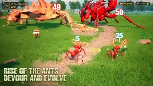 ant-legion-for-the-swarm-13