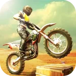 Bike Racing 3D