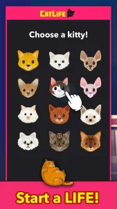 bitlife-cats-catlife