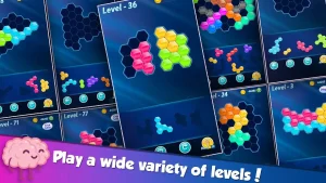 block-hexa-puzzle-15