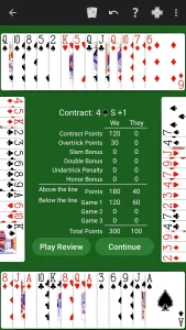 bridge-by-neuralplay-2