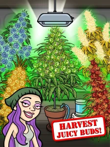 bud-farm-grass-roots-11