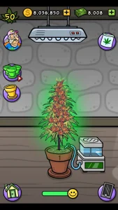 bud-farm-grass-roots-7