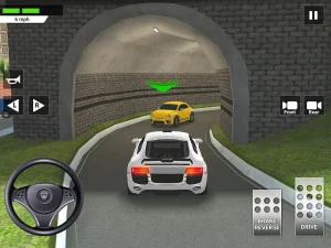 car-driving-parking-school-15
