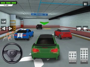 car-driving-parking-school-17