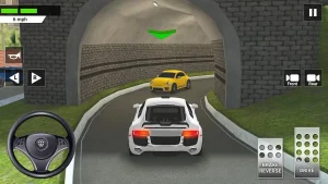 car-driving-parking-school-7