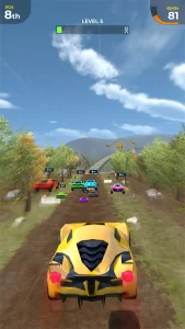 car-race-14