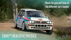 carx-rally-2