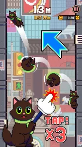 cat-jump-25