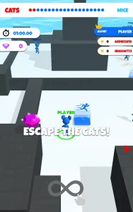 cat-mouse-io-chase-the-rat-14