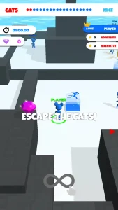 cat-mouse-io-chase-the-rat