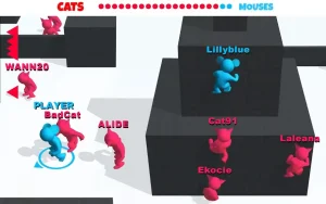 cat-mouse-io-chase-the-rat-19