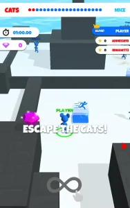 cat-mouse-io-chase-the-rat-7