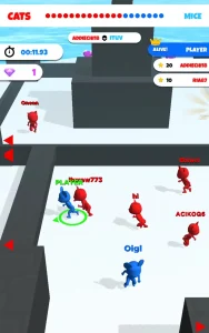 cat-mouse-io-chase-the-rat-8