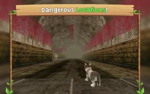cat-sim-online-play-with-cats-19