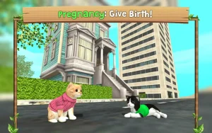 cat-sim-online-play-with-cats-2