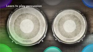 congas-bongos-percussions-1