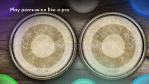 congas-bongos-percussions-10