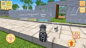cute-pocket-cat-3d-part-2-16