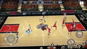 fanatical-basketball-4