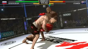 fighting-star-15