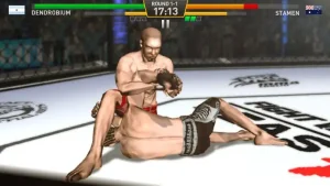 fighting-star-4