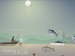 fishing-and-life-12