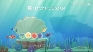 fishing-and-life-2