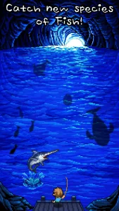 fishing-paradiso