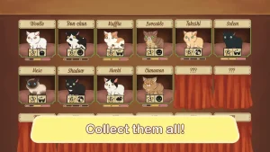 furistas-cat-cafe-17