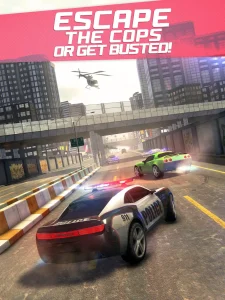 highway-getaway-police-chase-7