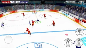 hockey-all-stars-17