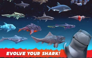 hungry-shark-evolution-8