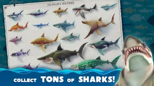 hungry-shark-world-1