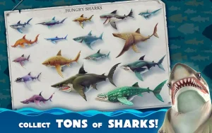 hungry-shark-world-7