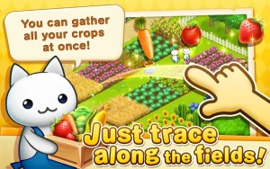 meow-meow-star-acres-6