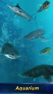 monster-fishing-2025-1