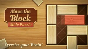 move-the-block-slide-puzzle-9