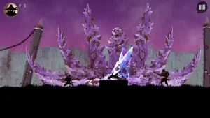 ninja-arashi-1