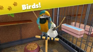 pet-world-my-animal-shelter-17