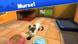 pet-world-my-animal-shelter-18