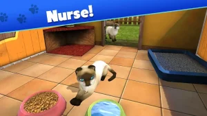 pet-world-my-animal-shelter-26