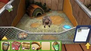 pet-world-my-animal-shelter-30