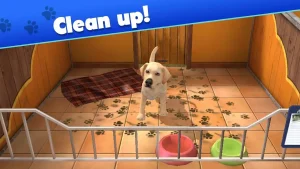 pet-world-my-animal-shelter