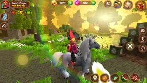 pony-world-craft-7