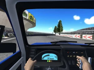 rally-racer-dirt-13