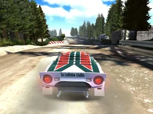 rally-racer-dirt-14