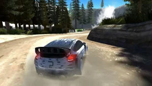 rally-racer-dirt-8
